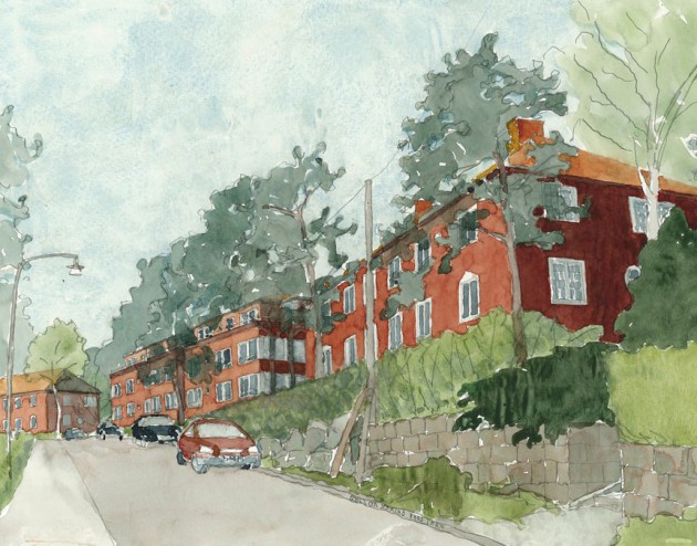 Persp-Fältmarsk-1-small